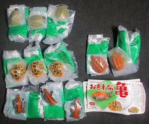 在庫処分！　お財布亀　４種１１ヶセット　海洋堂のガシャポン　未開封品！！