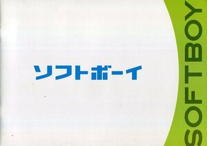 ソフトボーイ パンフ＆チラシ★永山絢斗 賀来賢人 波瑠 大倉孝二 加藤諒 いしのようこ 山口紗弥加★映画 パンフレット フライヤー★aoaoya