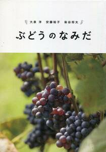 ぶどうのなみだ パンフ＆チラシ★大泉洋 安藤裕子 染谷将太 田口トモロヲ 大杉漣 江波杏子★映画 パンフレット TEAM NACS★aoaoya