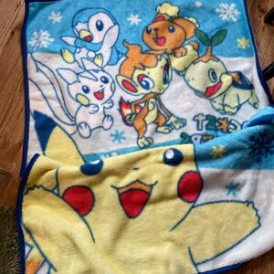 ポケモン　ダイヤモンド&パール毛布　中古　ナエトル　ヒコザル　ポッチャマ