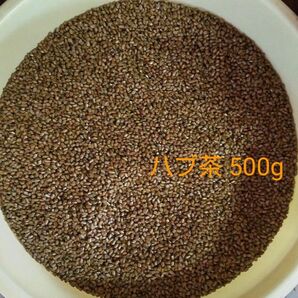 ハブ茶 500g 2023年11月収穫