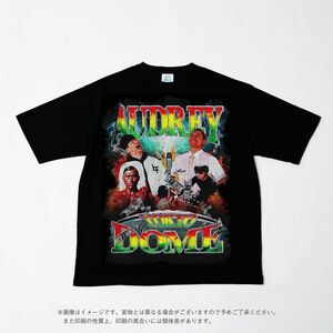 オードリーのオールナイトニッポン 東京ドーム ビッグシルエットTシャツ グッズ XLサイズ