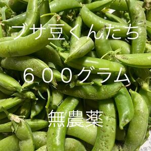 ★無農薬スナップエンドウ★ブサ豆くんたちです★６００グラム★