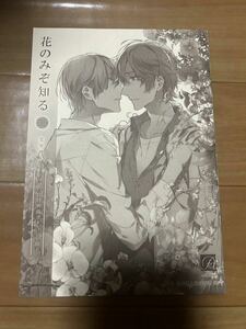 花のみぞ知る　コミック　BL 小冊子　特典　宝井理人