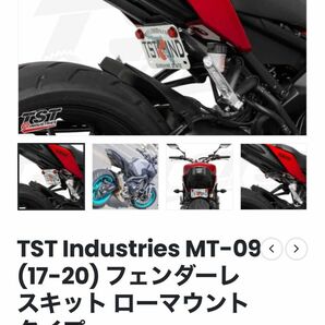 TST Industries MT-09 (17-20) フェンダーレスキット ローマウントタイプ