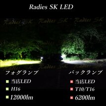 T20 バックランプ 爆光 LED 12V 24V ホワイト ポジション ライセンス フォレスター マット レッド 2個 1年保証 赤い新星 Radies SK_画像6