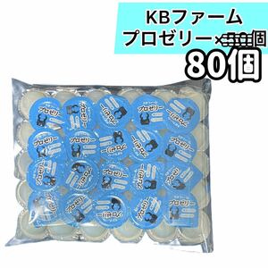 ×80個　 KBファーム プロゼリー 昆虫ゼリー クワガタ　カブト　ハムスター