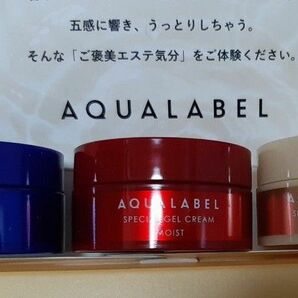 アクアレーベル　AQUALABEL 資生堂 オールインワンジェルクリーム トライアルセット　試供品