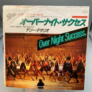 再生良好 EP TERI DESARIO/テリー・デサリオ「Overnight Success/オーバーナイト・サクセス」