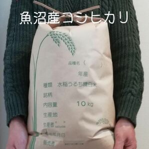 お米10kg 令和5年魚沼産コシヒカリ白米