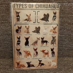 [ free shipping ] chihuahua ⑧ illustrated reference book metal autograph plate [ new goods ]