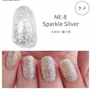HOMEI ウィークリージェル　ジェルネイル　NE-8 Sparkle Silver