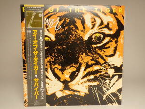 B-656 LPレコード Survivor Eye Of The Tiger ジャケットヤケ・カビ有