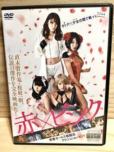 ★ 赤×ピンク　　ＤＶＤ　／　 芳賀優里亜　　水崎綾女 　　多田あさみ 　　小池里奈 　　　　　　　　 　 　 　　 　　　　　　即決。