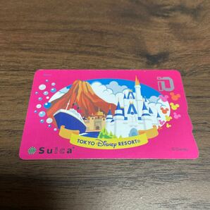 【詳細未確認】suica TOKYO Disney RESORT 東京 ディズニーの画像1