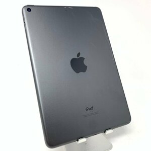 【ジャンク】iPad mini 5(A2133)/64GB/スペースグレー/89%/LM93