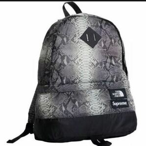 Supreme The North Face Snakeskin Lightweight Day Pack supreme原宿店購入 オマケステッカー付き supreme ノースコラボ 完売品の画像2