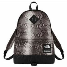 Supreme The North Face Snakeskin Lightweight Day Pack supreme原宿店購入 オマケステッカー付き supreme ノースコラボ 完売品_画像1