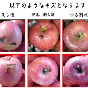 青森りんご訳あり王林15キロ前後モールド詰め1円～の画像3