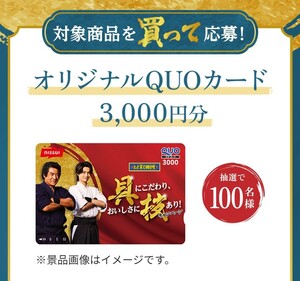 懸賞応募★オリジナルQUOカード3000円分が100名様に当たる！Wチャンス商品セットが当たる！ニッスイキャンペーン！応募レシート