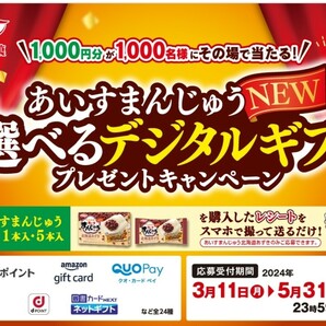 懸賞応募★選べるデジタルギフト1000円分が1000名様に当たる！丸永製菓アイスまんじゅうキャンペーン！応募レシート1口の画像1