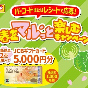 懸賞応募★3口分！JCBギフトカード5000円分が1000名様に当たる！東洋水産春をマルっと楽しむキャンペーン！応募レシート（4/30締切）の画像1