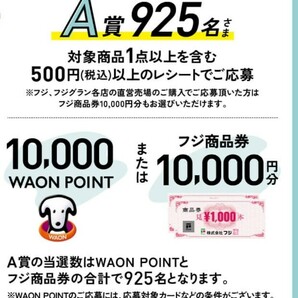 レシート懸賞応募★10000WAONポイントが925名様に当たる！イオンヨーグルトで新生活応援フェアキャンペーン！応募１口の画像1