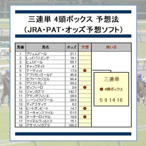 ＿＿三連単で248万円稼いだ競馬予想法＿＿回収率345%～1740%＿＿（JRA・PAT・予想ソフト）の画像1