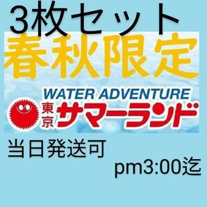 ■③春秋限定東京サマーランド1dayパス　　　　　　パスポート3枚セット