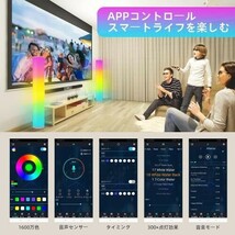 LED RGBフロアランプ 1600万色 358種類点灯モード APP&リモコン制御_画像3