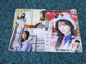 小坂菜緒☆表紙付き切り抜き9ページ＋両面プレミアムシート/少年サンデー2024年19号