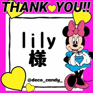 lily様専用 