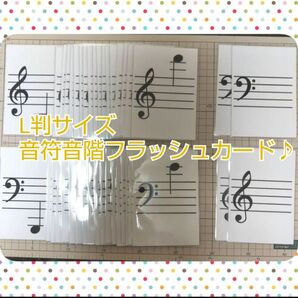 Ｌ判サイズ音階カード♪ラミネート加工済み