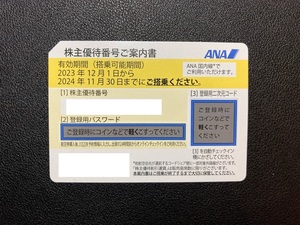 【送料無料・普通郵便】 ANA　全日空　株主割引券　番号通知対応可　１から6枚まで購入可　有効期限2024年11月30日まで