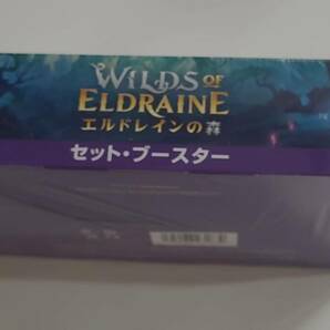 MTG マジック：ザ・ギャザリング エルドレインの森 セット・ブースター 日本語版 1BOX 30パック入 BOXの画像3