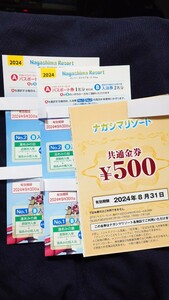 ナガシマスパーランド パスポート券 パスポート 湯あみの島 ナガシマスパーランドパスポート 2枚セット　共通金券付