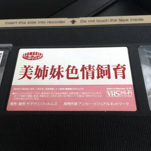 即決 未DVD化作品 レンタル落ち VHSビデオ Vシネマ 美姉妹色情飼育 栗原みなみ あべりえ 長坂しほり 松岡邦彦 サブマリンフィルムズ の画像4