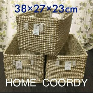 HOME COORDY 大きなシーグラスバスケット　3個