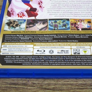 ☆【美品】Sakura Wars サクラ大戦 The Complete TV Series 全25話 北米盤 2Blu-ray ブルーレイ 日本語 英語☆z31833の画像3