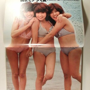 明星1977年9月号◆ピンク・レディー/高田みづえ/キャンディーズ/榊原郁恵/西城秀樹/岡田奈々/山口百恵/三浦友和/岩崎宏美/桜田淳子の画像2