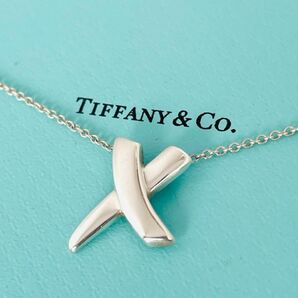 超美品☆TIFFANY ティファニー パロマピカソ キス スターリング シルバー ネックレス SV925 アクセサリー 人気 男女