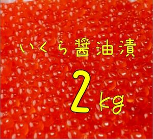 送料込み！いくら醤油漬 2kg