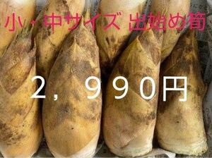 熊本県産　早掘り筍ラスト　箱込み２kg　米ぬか付き　クロネコヤマト発送