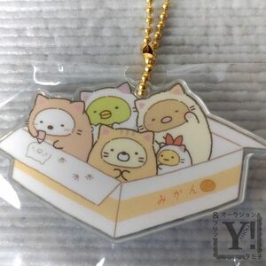 すみっコぐらし ノベルティ アクリルチャーム ぽかぽかねこびより とんかつ えびふらいのしっぽ ねこ しろくま ぺんぎん？