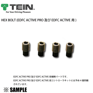 正規品 TEIN TEIN HEX BOLT EDFC ACTIVE/PRO用 4個入り ヘックスボルト 補修パーツ テイン(SAP44-P8463-4Sの画像1