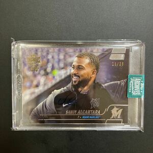 Topps MLB 2024 ARCHIVES Signature Sandy Alcantara 直筆サインカード サンディ・アルカンタラ オート AUTO Marins WBCドミニカ代表