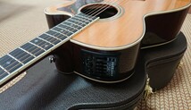 【美品】タカミネ・島村楽器 コラボギター Takamine DMP50S Natural (エレアコ)_画像3