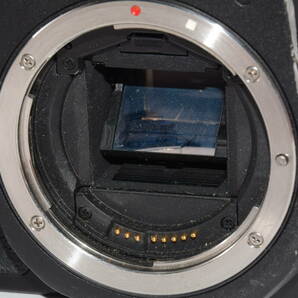 【外観特上級】Canon EOS 50D #t12585-1の画像5