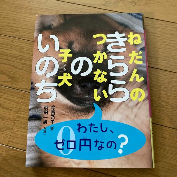 ねだんのつかない子犬きららのいのち 今西乃子／著　浜田一男／写真