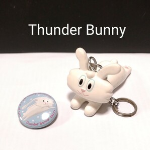 ［送料無料］サンダーバニー Thunder Bunny キーホルダーと缶バッジ 中古の画像1